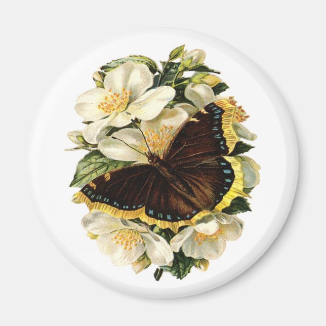 AIMANT BOUTEILLE ET FLEURS BLANCHES (Devant)