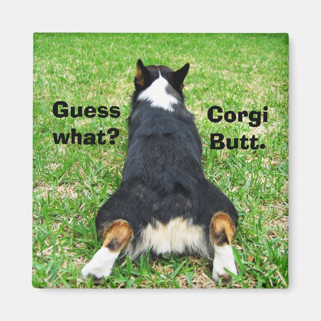Aimant Bouton de Corgi drôle (Devant)