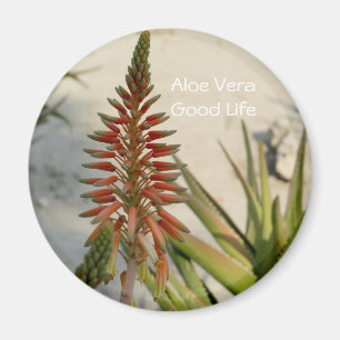 Aimant Bouton de fleur plante Aloe Vera