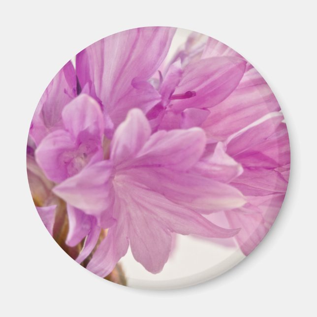 Aimant Bouton de mise à jour (Devant)