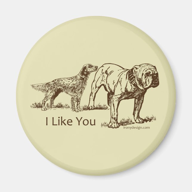 Aimant Bouton des nids de chien (Devant)