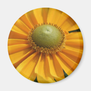 Aimant Bouton Gerbera Jaune du Jour ensoleillé