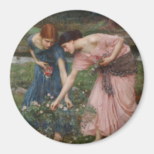 Aimant Boutons de rose du YE de rassemblement tandis que