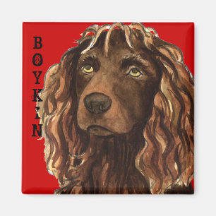 Aimant Boykin Spaniel Color Block