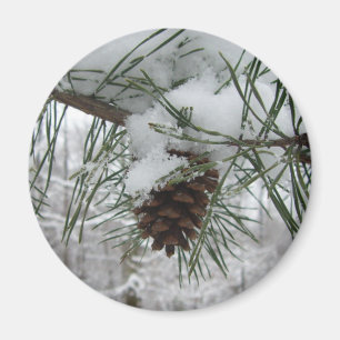 Aimant Branche des pins neigeux Photographie de la nature