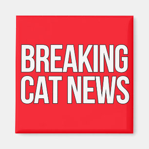 Aimant Breaking Cat News