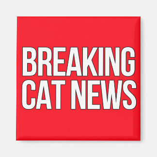 Aimant Breaking Cat News