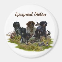 Bretagne Espagnols, chasse aux oiseaux