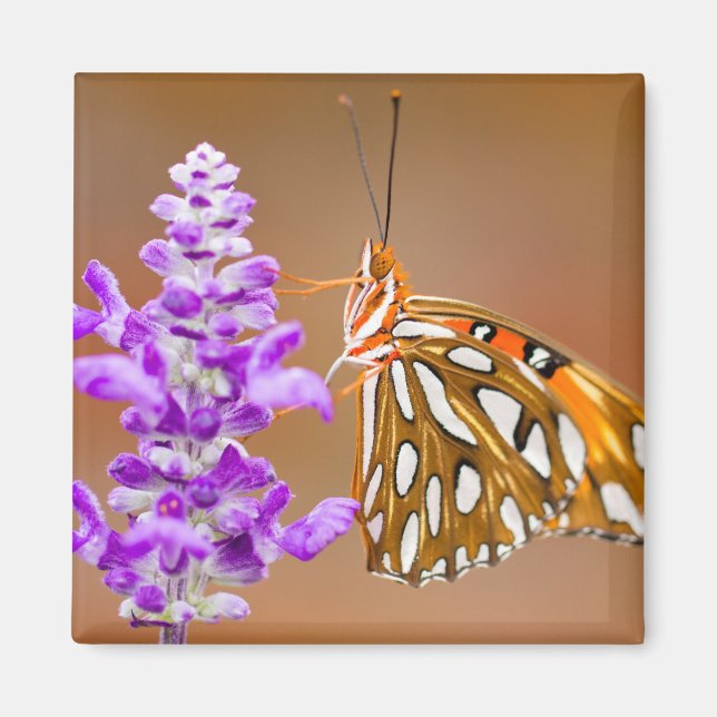 Aimant Bright Orange Gulf Fritillary Butterfly (Devant)