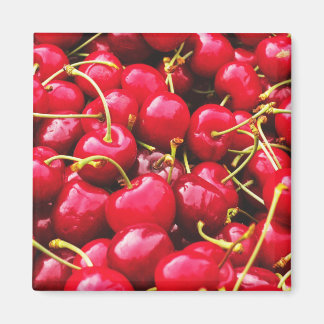 Aimant Bright Red Cherches Photo