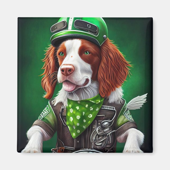 Aimant Brittany Spaniel conduite vélo St. Patrick's Day (Devant)