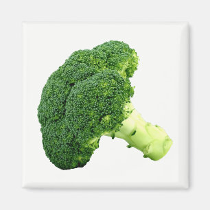 Aimant Brocoli