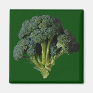 Aimant Brocoli