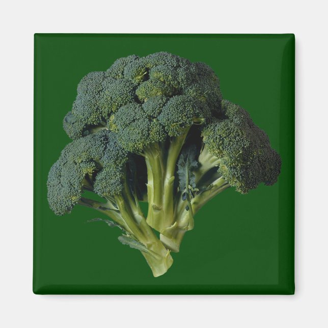 Aimant Brocoli (Devant)