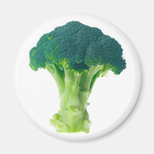 Aimant Brocoli