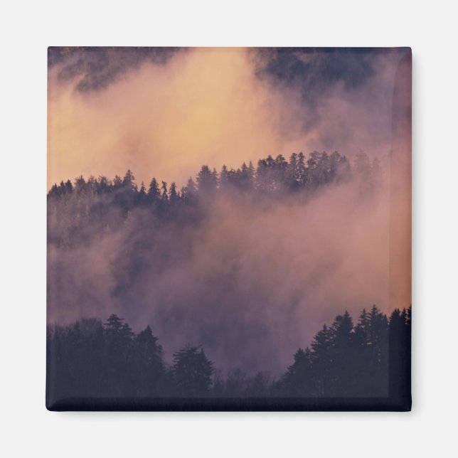 Aimant Brouillard d'hiver dans la vallée au coucher du so (Devant)