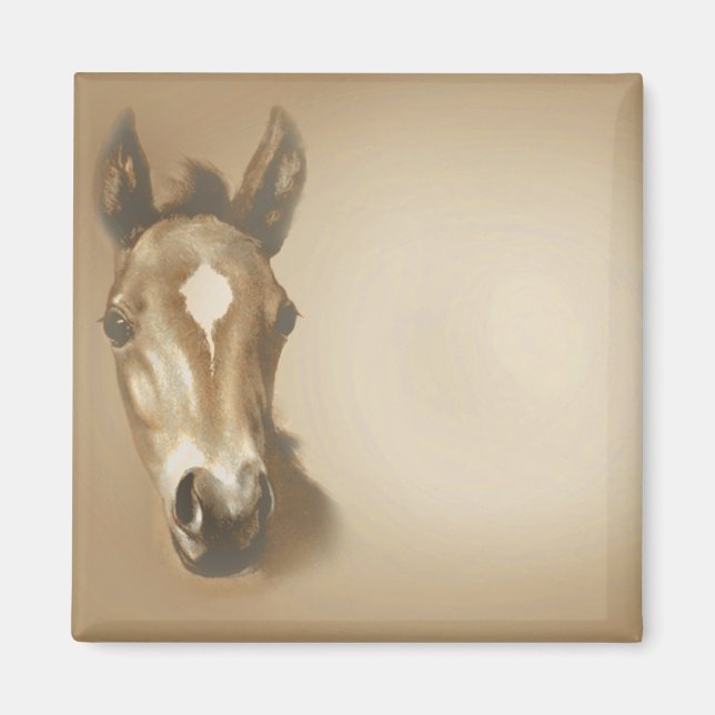 AIMANT BROWN-CHEVAL (Devant)