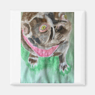 Aimant Bruno l'aimant bulldog