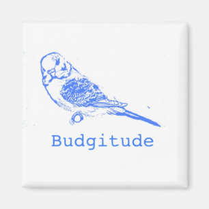 Aimant Budgitude