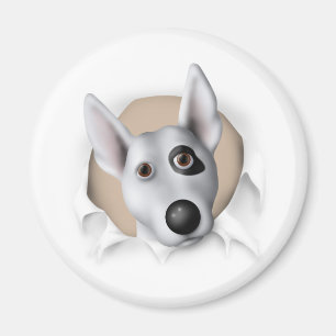 Aimant Bull-terrier (américain) éclatant