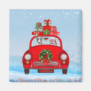 Aimant Bull Terrier Chien En Voiture Avec Le Père Noël