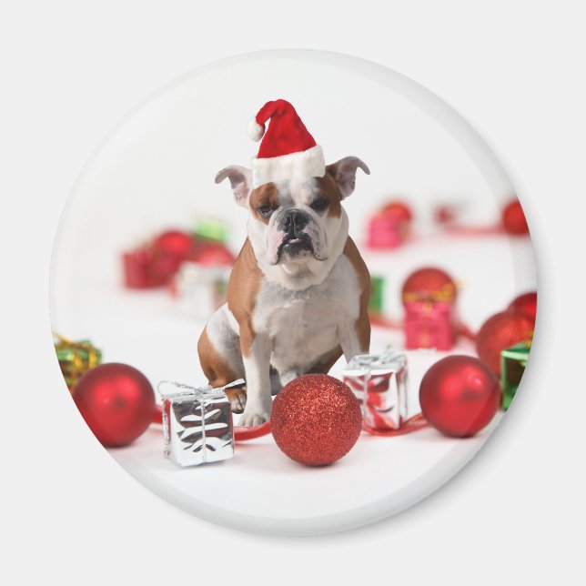 Aimant Bulldog boîte cadeau de Noël Ornements Red Santa C (Devant)