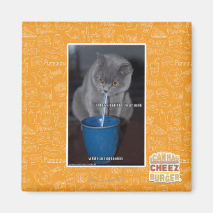 Aimant Bulles de coups en lait d'ur