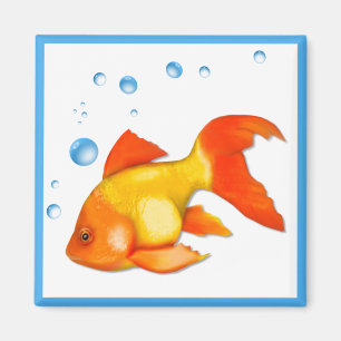 Aimant Bulles du poisson rouge