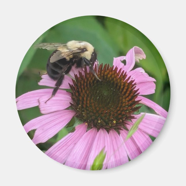 Aimant Bumble Bee (Devant)