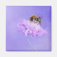 Bumble Bee perché sur une fleur rose