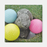 Bunny avec balles de golf colorées