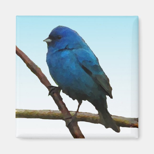 Aimant Bunting Indigo (Devant)