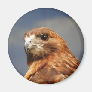 Aimant Buse à épaules rouges