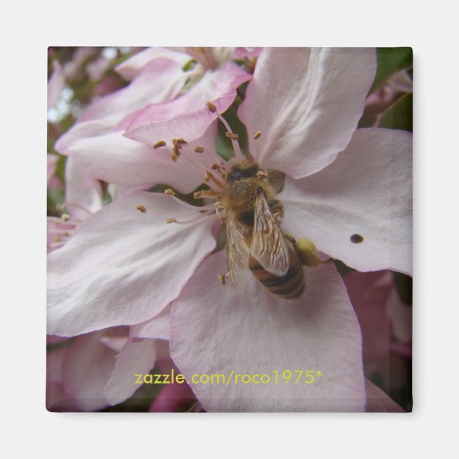 Aimant Busy Bee (Devant)