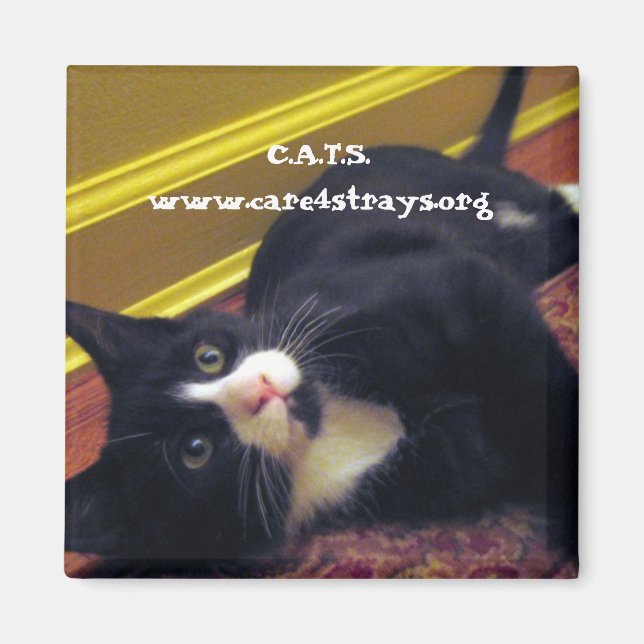 Aimant C.A.T.S. : (Devant)