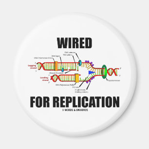 Aimant Câblé Pour La Réplication (Réplication D'ADN)