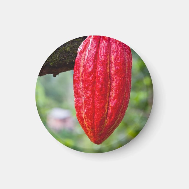 Aimant cabosse rouge (Devant)