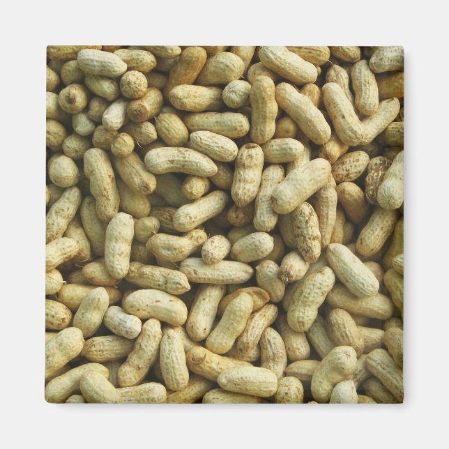 Aimant cacahuètes (Devant)