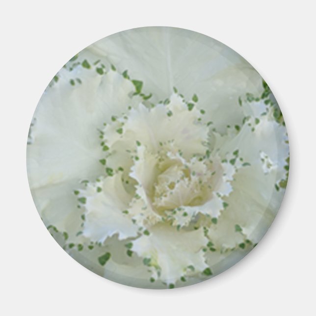 Aimant Cactus (Devant)