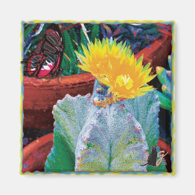 Aimant Cactus Caliente (Devant)