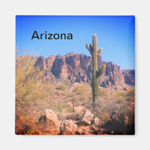 Aimant Cactus solitaire de l'Arizona
