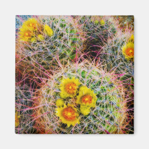 Aimant Cactus tonneau en gros plan, Californie