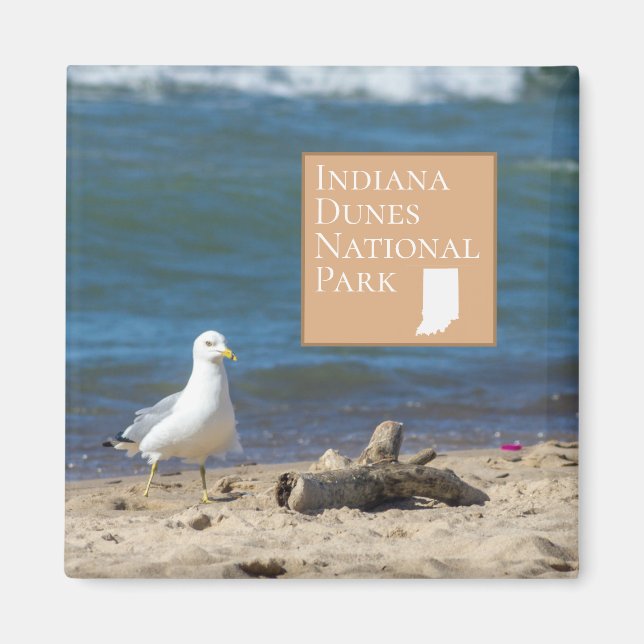 Aimant Cadeau du parc national Indiana Dunes (Devant)