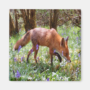 Aimant Cadeau pour amateur de nature Forêt de campanules 