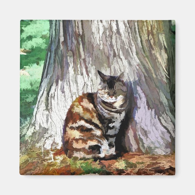 AIMANT CADEAUX (Devant)