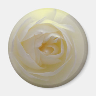 Aimant Cadeaux à base de losange de rose blanche