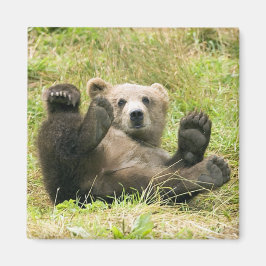 Aimant Cadeaux Brown_Ours_Kodiak_Lovers