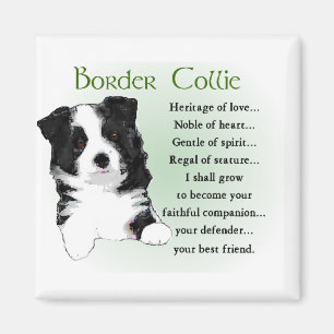 Aimant Cadeaux d'art Collie Frontière