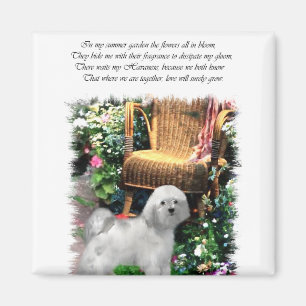Aimant Cadeaux d'art Havanais
