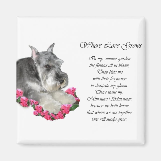 Aimant Cadeaux d'art Schnauzer miniature (Devant)